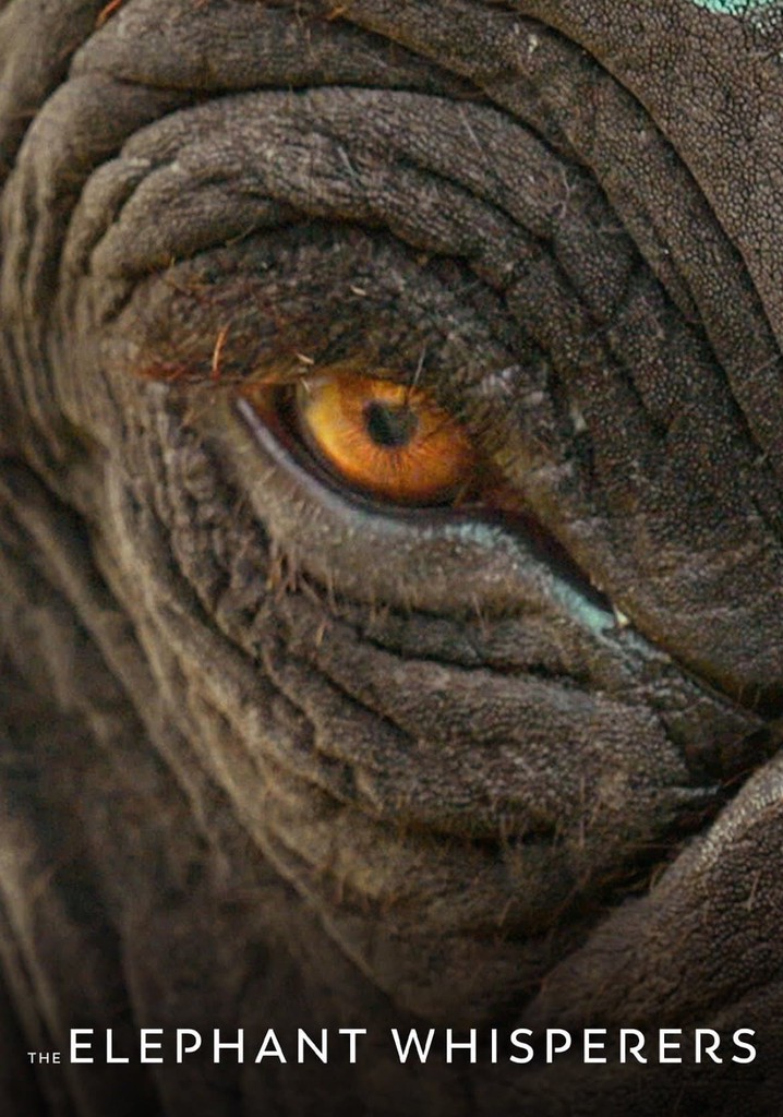 The Elephant Whisperers watch streaming online